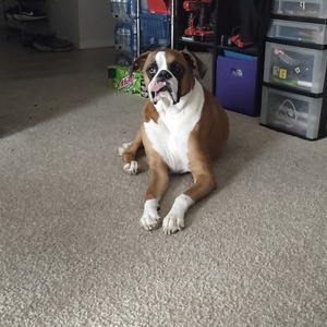 Fundraising Page: Melanie Rose